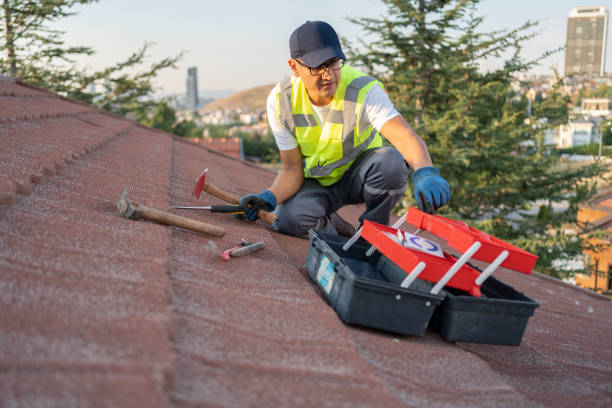 Best Storm Damage Siding Repair  in El Jon, CA